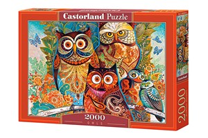 Puzzle Owls 2000