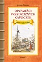 Opowieści przydrożnych kapliczek ziemi radomskiej - Zenon Gierała