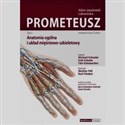 Prometeusz Atlas anatomii człowieka Tom 1 anatomia ogólna i układ mięśniowo-szkieletowy