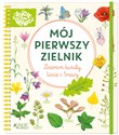 Mój pierwszy zielnik - Stefanie Zysk