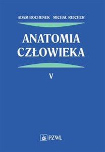 Anatomia człowieka Tom 5 - Księgarnia UK