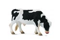 Byk Friesian - 