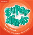 Super Minds Level 4 Posters