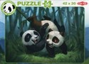 Panda Stars Puzzle B 56