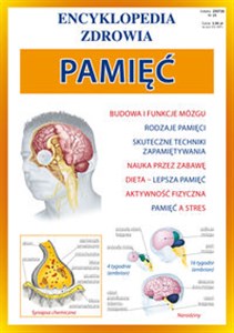 Pamięć Encyklopedia zdrowia