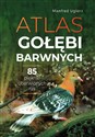 Atlas gołębi barwnych - Manfred Uglorz