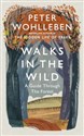 Walks in the Wild A guide through the forest with Peter Wohlleben