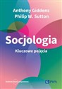 Socjologia. Kluczowe pojęcia  - Anthony Giddens, Philip W. Sutton, Paweł Tomanek