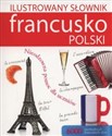 Ilustrowany słownik francusko-polski - Tadeusz Woźniak