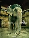 Andreas H. Bitesnich - India - Andreas H. Bitesnich