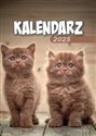 Kalendarz 2025 A6 Zdzierak MIX 