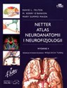 Atlas neuroanatomii i neurofizjologii Nettera 