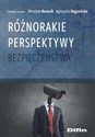 Różnorakie perspektywy bezpieczeństwa - Mirosław Banasik, Agnieszka redakcja naukowa Rogozińska