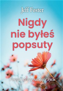 Nigdy nie byłeś popsuty 