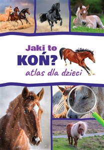 Jaki to koń? Atlas dla dzieci - Księgarnia UK