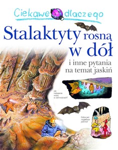 Ciekawe dlaczego stalaktyty rosną w dół - Księgarnia Niemcy (DE)