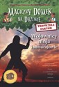 Tropiciele faktów Wojownicy ninja i samurajowie