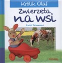 Królik Olaf Zwierzęta na wsi - Lieve Boumans