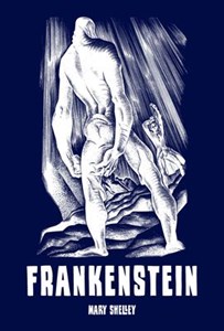 Frankenstein, czyli współczesny Prometeusz - Księgarnia Niemcy (DE)