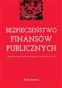 Bezpieczeństwo finansów publicznych - Magdalena Redo, Katarzyna Wójtowicz, Jolanta Maria Ciak