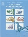 Anatomia weterynaryjna