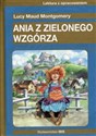 Ania z Zielonego Wzgórza Lektura z opracowaniem