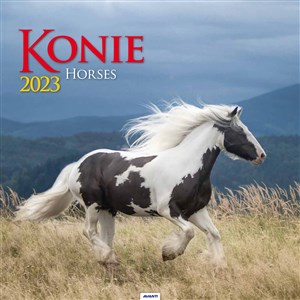 Kalendarz 2023 spirala kw Konie KD22 - Księgarnia Niemcy (DE)