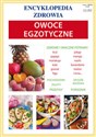 Owoce egzotyczne Encyklopedia zdrowia