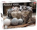 Puzzle Małe kotki 1000