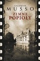 Zimne popioły