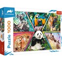 PUZZLE 1000 - Królestwo zwierząt Animal Planet - 