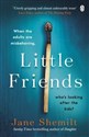 Little Friends - Jane Shemilt
