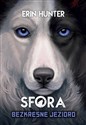 Sfora Tom 5 Bezkresne jezioro - Erin Hunter