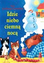 Idzie niebo ciemną nocą