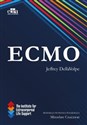 Ecmo 