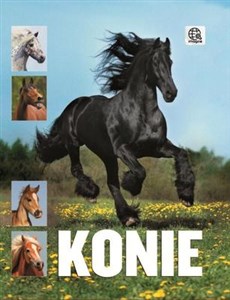 Konie