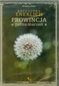 [Audiobook] Prowincja pełna marzeń