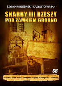 Skarby III Rzeszy pod zamkiem Grodno Historia dzieł sztuki odkrytych między Wałbrzychem i Świdnicą - Księgarnia UK