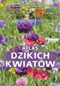 Atlas dzikich kwiatów