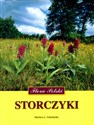 Storczyki - Dariusz L. Szlachetko