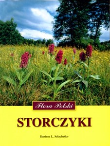 Storczyki