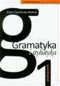 Gramatyka i stylistyka 1 Podręcznik Gimnazjum