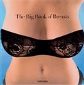 The Big Book of Breasts