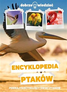 Encyklopedia ptaków Dobrze wiedzieć Poznajesz fascynujący świat ptaków - Księgarnia Niemcy (DE)