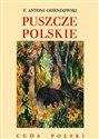 Puszcze polskie