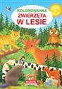 Kolorowanka Zwierzęta w lesie - Jarosław Żukowski