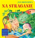 Na straganie