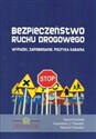 Bezpieczeństwo ruchu drogowego Wypadki, zapobieganie, polityk karania - Karol Pachnik, Kazimierz J. Pawelec, Marcin Pawelec