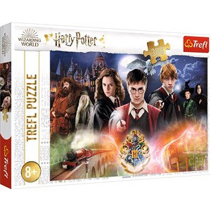 Puzzle 300 Tajemniczy Harry Potter