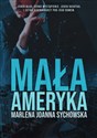 Mała Ameryka - Marlena Sychowska